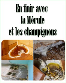 Solutions contre la mérule